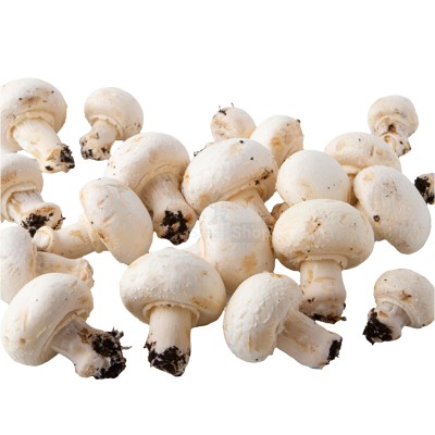 Шампиньоны свежие 500 г - купить в Мазаевке